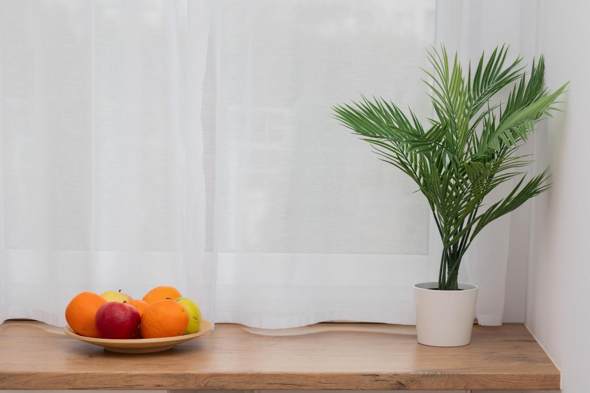 Bright With Private Garden And Accepting Pets By Renters Apartment Gdansk